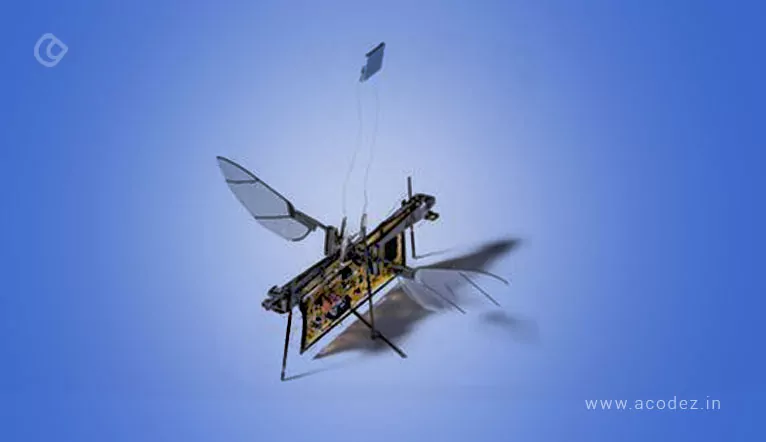 The Ultimate Insect-Inspired Robot: Meet JT-Fly, the Multifunctional Marvel